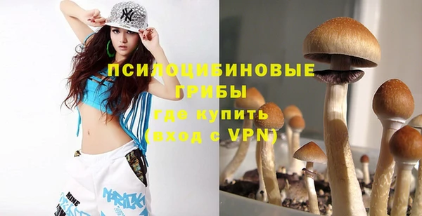 экстази Козельск