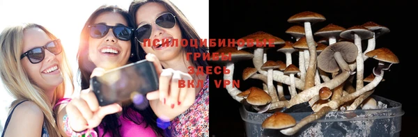 СК Красноперекопск