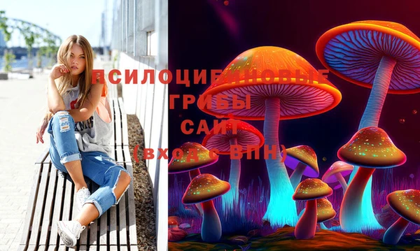 трава Коряжма