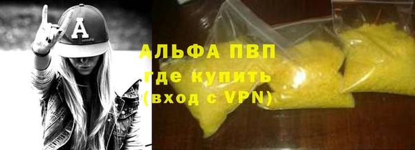 трава Коряжма