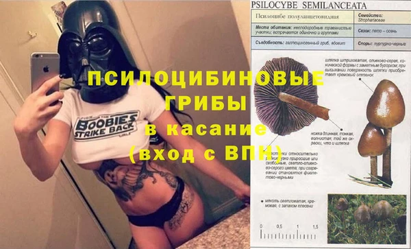 трава Коряжма