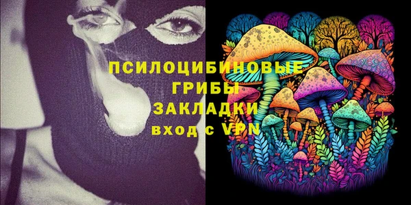 трава Коряжма