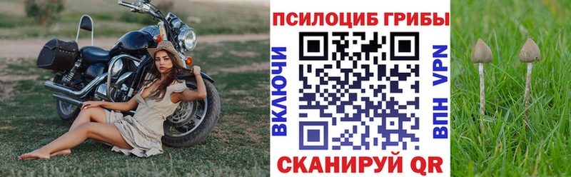 Псилоцибиновые грибы мицелий  Купить где  Боровичи 